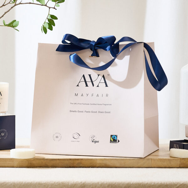 Ava Mayfair Small Gift Bag