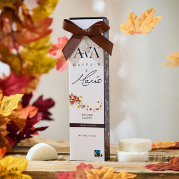 Autumn Leaves By Mario Is Back!