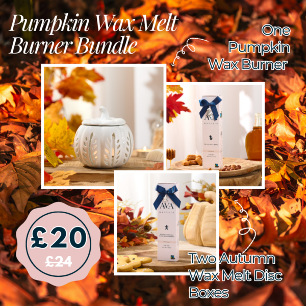 Pumpkin Wax Melt Burner Bundle